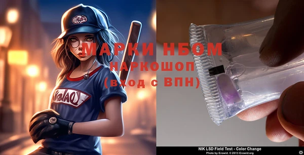 тгк Гусев