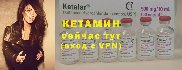 стаф Дмитриев