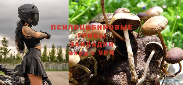 шишки Михайловск