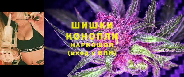 тгк Гусев