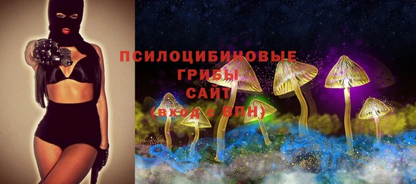 эйфоретик Михайлов