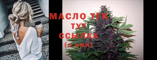 стаф Дмитриев