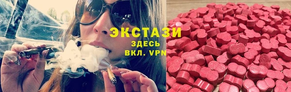 шишки Михайловск