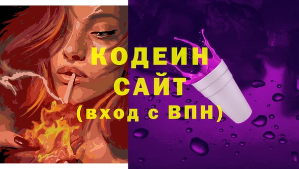 стаф Дмитриев